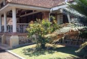 Kololo Bungalow on a Full Acre for Sale at USD 3 Million