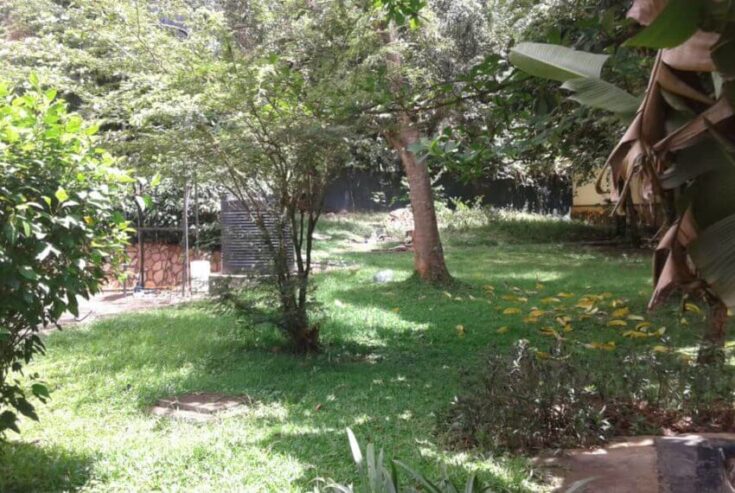 5 Bedroom House for Rent in Kololo Kampala