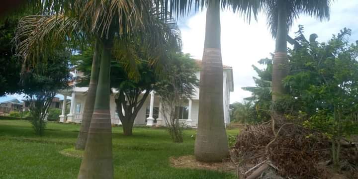 8 Bedroom Lakeside Mansion 4 Sale in Nalugala along Entebbe