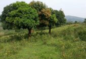 100 acres of good farmland for sale in Mpigi Gombe-Butambala