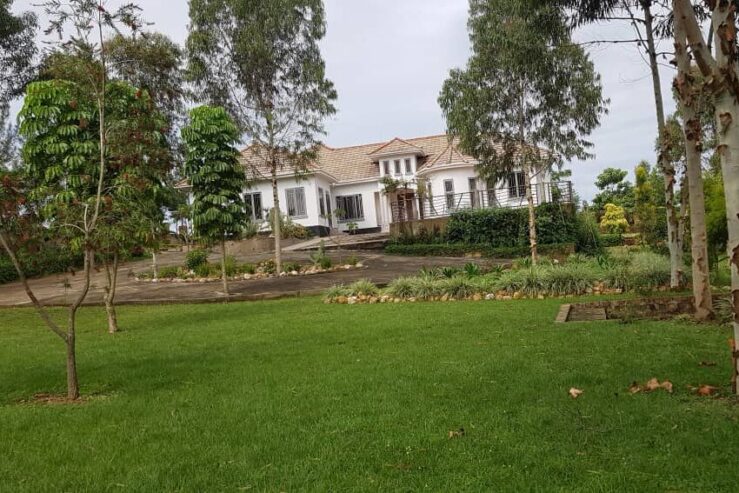 Posh Mansion on 14 Acres for Sale in Gobero, Kakiri in Wakis
