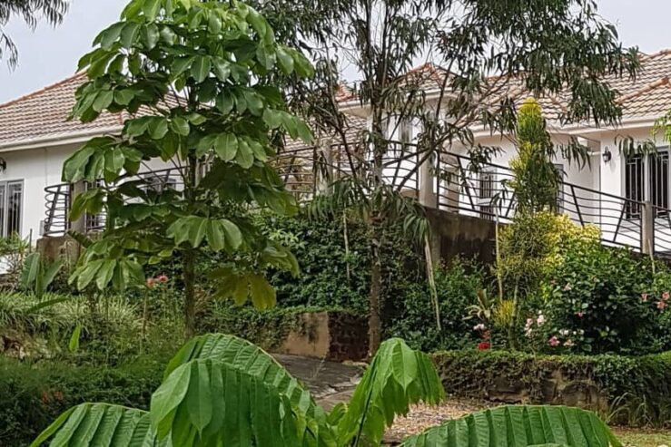 Posh Mansion on 14 Acres for Sale in Gobero, Kakiri Wakiso