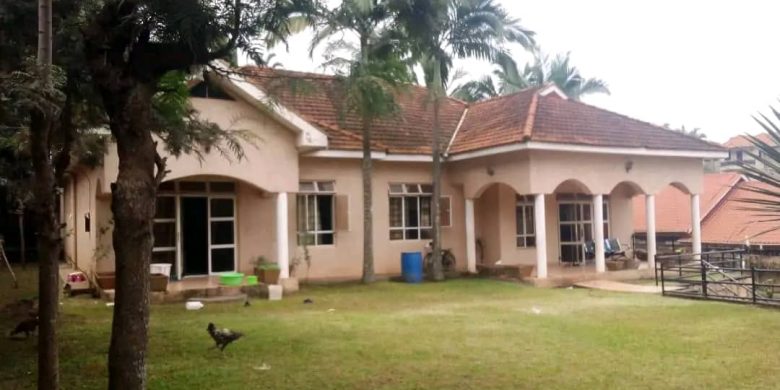 Bungalow house in Ntinda having 4 bedrooms on sale.