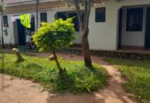 five(5) rental houses in Kisubi Entebbe road on sale.