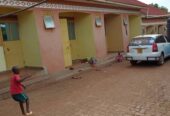 7 rental units in Wakiso town on sale