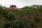 Kibanja Plot of Land measuring 50/100 Located in Wakiso