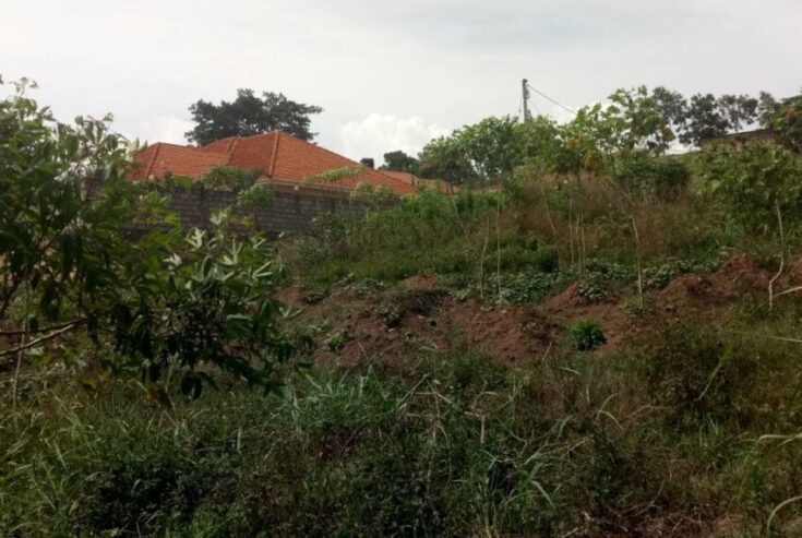 Kibanja Plot of Land measuring 50/100 Located in Wakiso