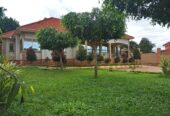 4 Bedroom house for sale in Munyonyo