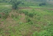 3acres in Buwambo Lugo