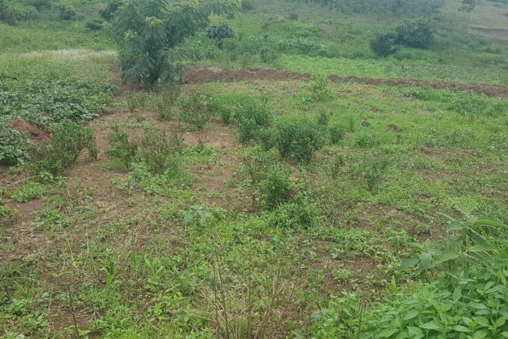 3acres in Buwambo Lugo