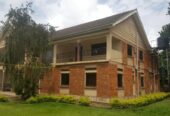 11 Bedroom house for Rent in Luzira