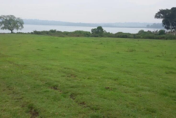 3 Acres Touching Water Location: Entebbe Bugiri