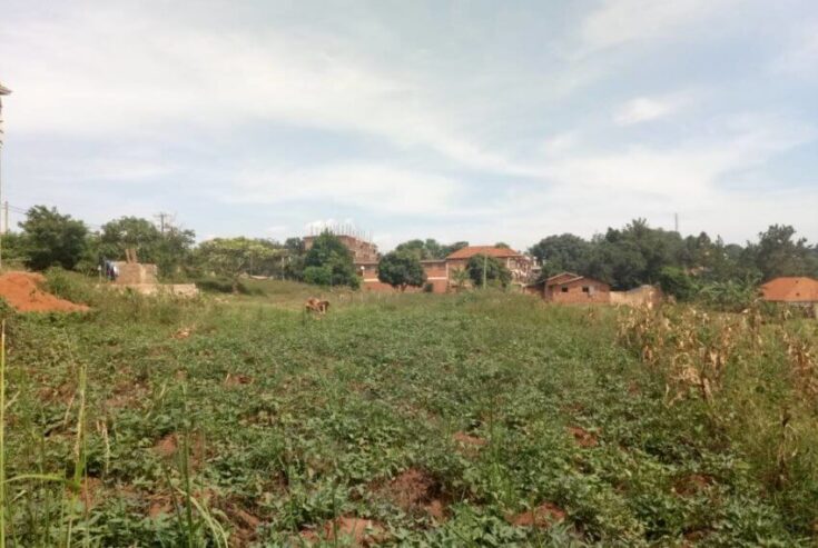 Kibanja Plot of Land measuring 50/100 Located in Wakiso