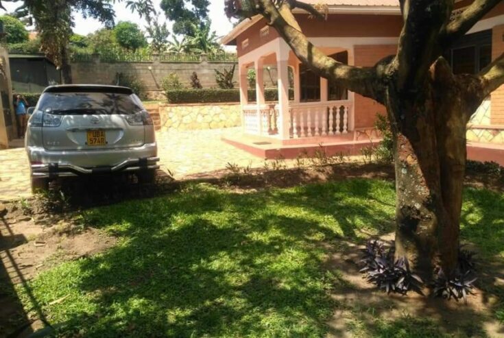 3 bedroom house for rent in Kisaasi