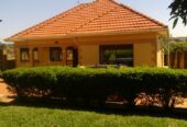 4 Bedroom house for Rent in Entebbe