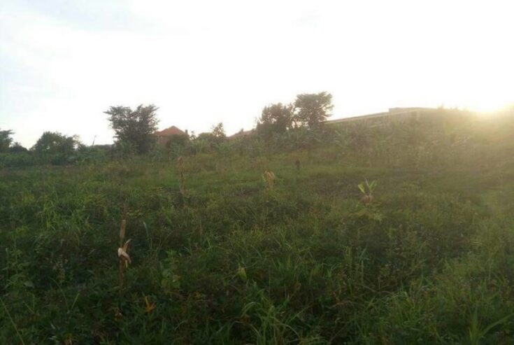 2 ACRES AND 70 DECIMALS FOR SALE ALL AT ONCE IN MUYENGA