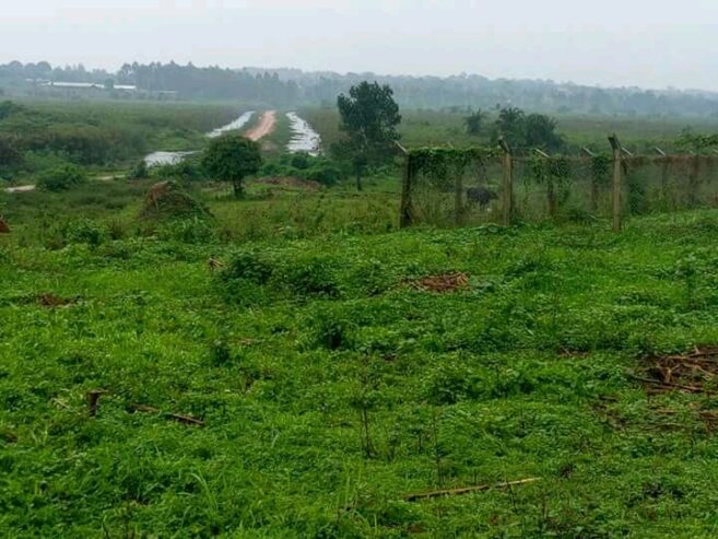 20acres available in Location: Busika