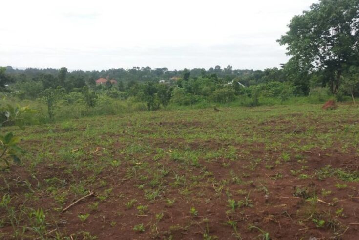 2.5 ACRES OF LAND FOR SALE IN KABEMBE MUKONO