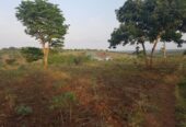 24acres of land for sale in Mubende