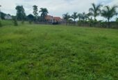 Unfinished 7 Bedroom House on 1.3 Acres for Sale in Munyonyo