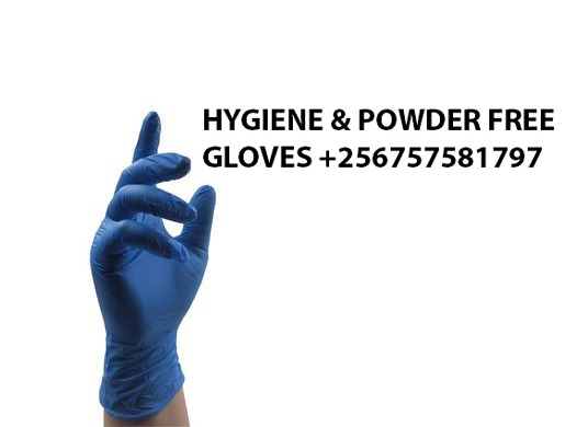 Powder free gloves for wholesale in Kampala Uganda