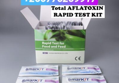 AFLATOXIN-RAPID-TEST-KIT-IN-KAMPALA-UGANDA-1-1