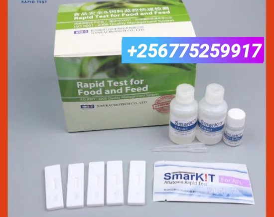 Test procedure of Accurate Aflatoxin rapid test in Kampala