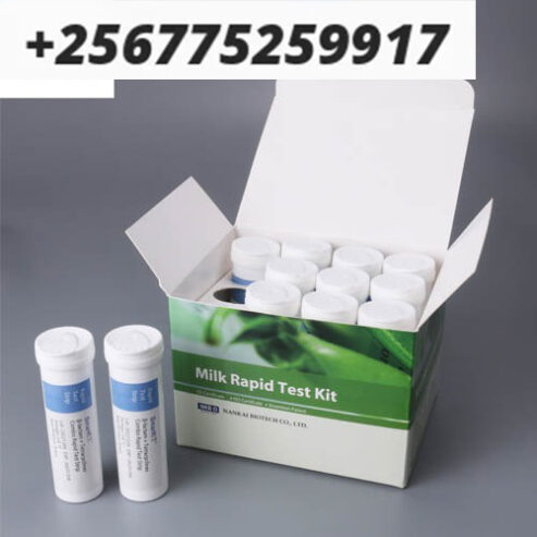 Aflatoxin rapid test kit for good health in Uganda