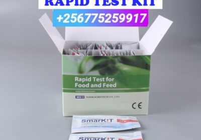 AFLATOXIN-RAPID-TEST-KIT-IN-KAMPALA-UGANDA-6-1