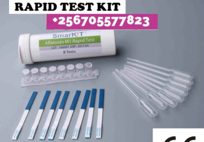 AFLATOXIN-RAPID-TEST-KIT-IN-KAMPALA-UGANDA-7