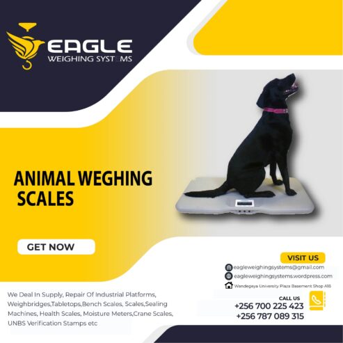 UNBS certified animal weighing scales +256 787089315