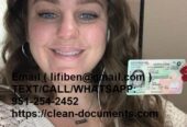 Passports, driver|s licenses, ID cards, stamps, Visa,