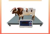 Weighing scales for cattle in Kampala +256 787089315