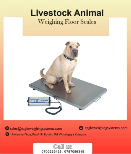 Where to buy animal weighing scales in Uganda +256 700225423