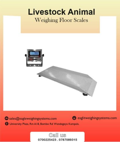 Livestock weighing scales supplier in Uganda +256 787089315