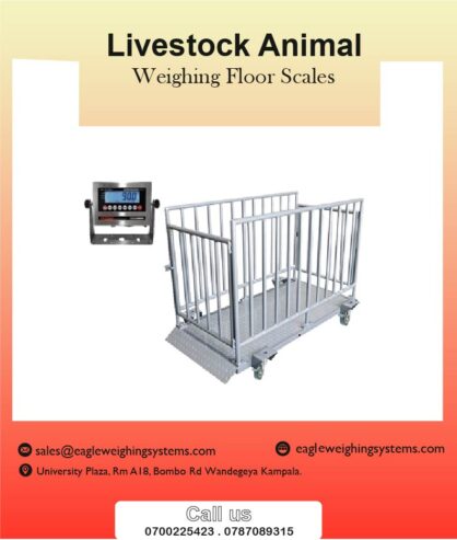 Livestock weighing scales supplier in Uganda +256 787089315