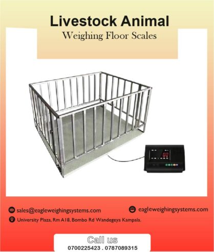 Livestock weighing scales company in Kampala +256 787089315