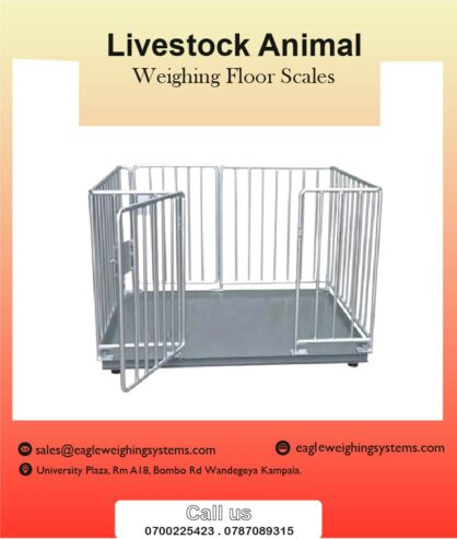 Livestock weighing scales company in Kampala +256 787089315