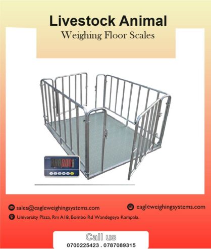 Livestock weighing scales supplier in Uganda +256 787089315