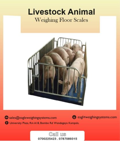 Pig weighing scales price in Uganda +256 787089315