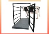 Digital cattle weighing scales in Uganda +256 700225423