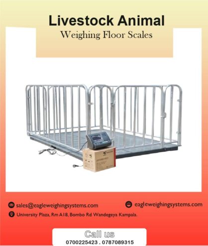 Digital cattle weighing scales in Uganda +256 700225423