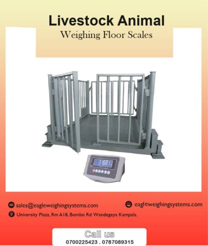 Veterinary animal weighing scales in Uganda +256 787089315