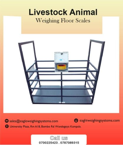 Digital cattle weighing scales in Uganda +256 700225423