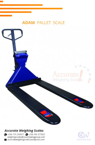 Digital Pallet weighing scales with a plastic powder