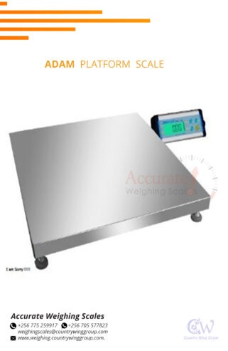 Best Indian platform weighing scales with Accuracy