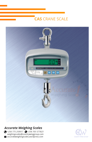 CAS digital crane weighing scales with aluminum alloy house