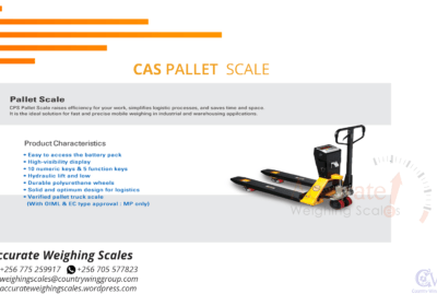 CAS-PAllet-Scale-1-png