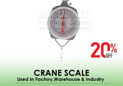 CRANE-SCALE-20-1