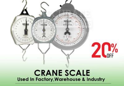 CRANE-SCALE-21-1